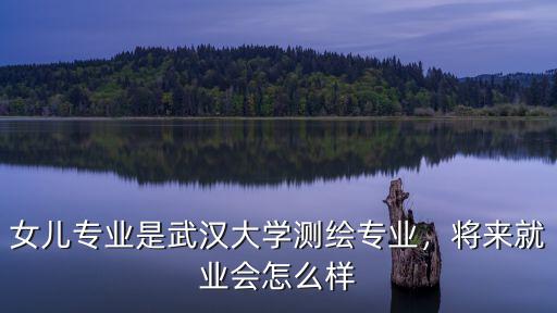 女兒專業(yè)是武漢大學測繪專業(yè)，將來就業(yè)會怎么樣