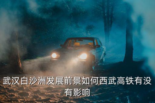 武漢白沙洲發展前景如何西武高鐵有沒有影響