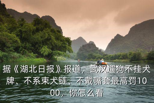 據《湖北日報》報道，武漢遛狗不掛犬牌、不系束犬鏈、不戴嘴套最高罰1000，你怎么看