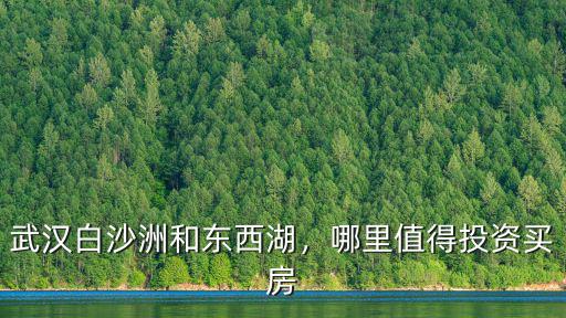 武漢東西湖吳家山發(fā)展怎么樣,武漢白沙洲和東西湖