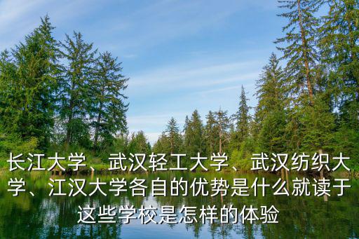 長江大學、武漢輕工大學、武漢紡織大學、江漢大學各自的優勢是什么就讀于這些學校是怎樣的體驗