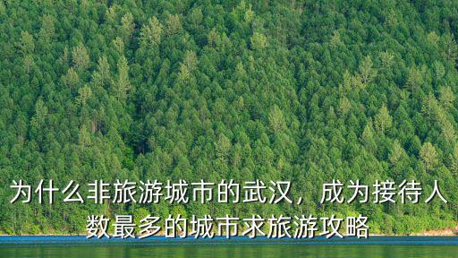 為什么非旅游城市的武漢，成為接待人數最多的城市求旅游攻略