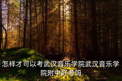 武漢音樂學院校考怎么考,怎樣才可以考武漢音樂學院