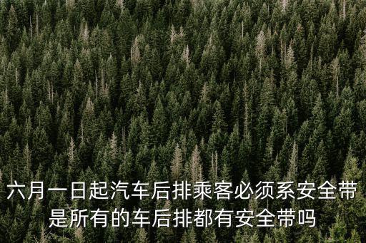 湖北省6月1日起后排不系安全帶怎么處罰,后排不系安全帶罰款200元