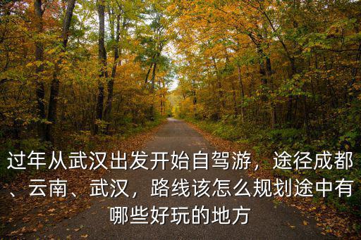 過年從武漢出發開始自駕游，途徑成都、云南、武漢，路線該怎么規劃途中有哪些好玩的地方