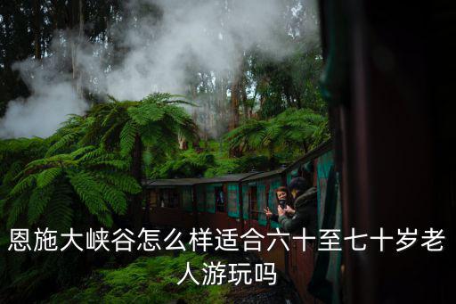 恩施大峽谷怎么樣適合六十至七十歲老人游玩嗎