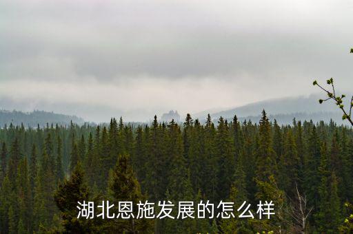 湖北恩施發展的怎么樣