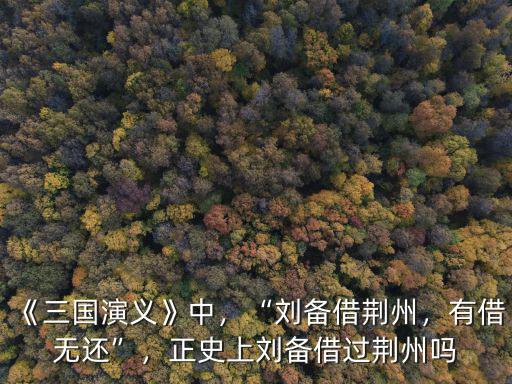劉備怎么過荊州,正史上劉備借過荊州嗎