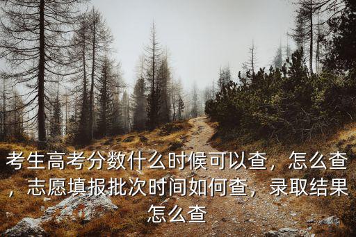 考生高考分數什么時候可以查，怎么查，志愿填報批次時間如何查，錄取結果怎么查