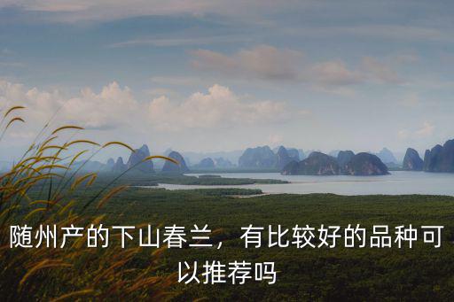 隨州產的下山春蘭，有比較好的品種可以推薦嗎