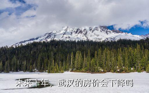 未來十年，武漢的房價會下降嗎