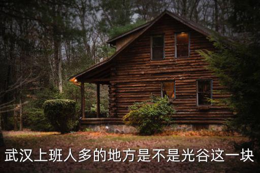 華新水泥武漢光谷上班怎么樣,武漢很多人都去光谷上班嗎