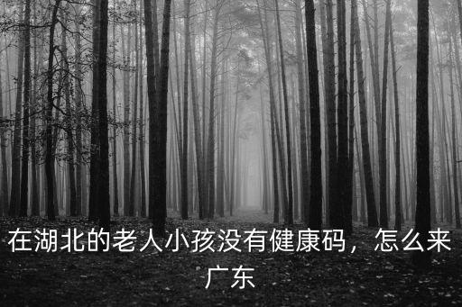 在湖北的老人小孩沒有健康碼，怎么來廣東