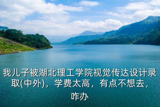 湖北大學視覺傳達設計怎么樣,視覺傳達設計專業錄取了