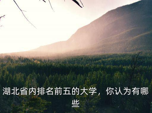湖北省內排名前五的大學，你認為有哪些