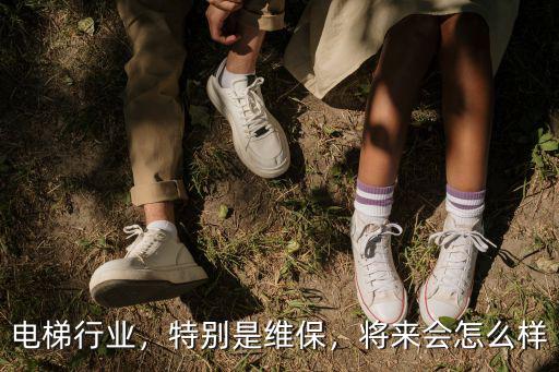 武漢電梯維保怎么樣,修電梯這個工作怎么樣