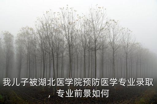 我兒子被湖北醫學院預防醫學專業錄取，專業前景如何