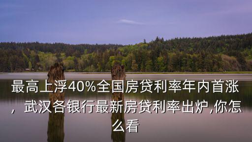 最高上浮40%全國房貸利率年內首漲，武漢各銀行最新房貸利率出爐,你怎么看