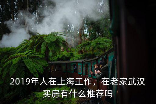 2019年人在上海工作，在老家武漢買房有什么推薦嗎