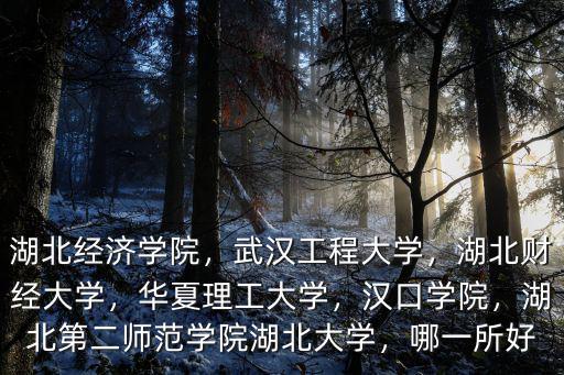 湖北經濟學院，武漢工程大學，湖北財經大學，華夏理工大學，漢口學院，湖北第二師范學院湖北大學，哪一所好