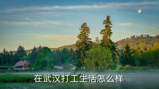 在武漢打工生活怎么樣