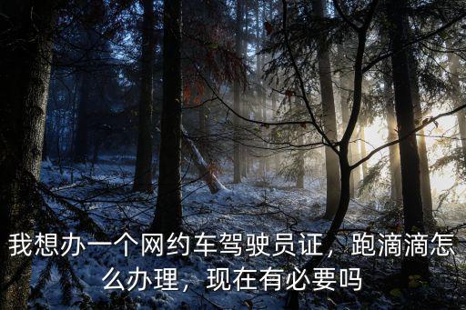 我想辦一個(gè)網(wǎng)約車駕駛員證，跑滴滴怎么辦理，現(xiàn)在有必要嗎