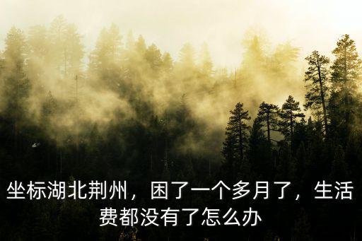 湖北荊州春節(jié)怎么樣,坐標(biāo)湖北荊州