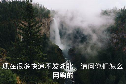 現(xiàn)在很多快遞不發(fā)湖北，請(qǐng)問(wèn)你們?cè)趺淳W(wǎng)購(gòu)的