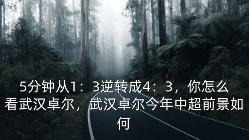 武漢卓爾杰(湖北總經銷商)怎么樣,武漢卓爾在中超前景怎么樣