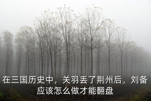 荊州被偷襲 關羽應該怎么做,劉備應該怎么做才能翻盤