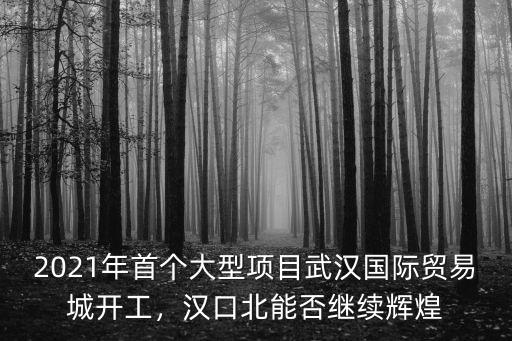 2021年首個大型項目武漢國際貿易城開工，漢口北能否繼續輝煌