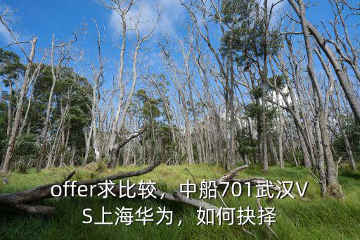offer求比較，中船701武漢VS上海華為，如何抉擇