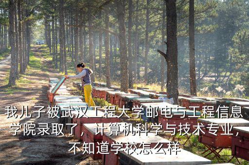我兒子被武漢工程大學郵電與工程信息學院錄取了，計算機科學與技術專業，不知道學校怎么樣