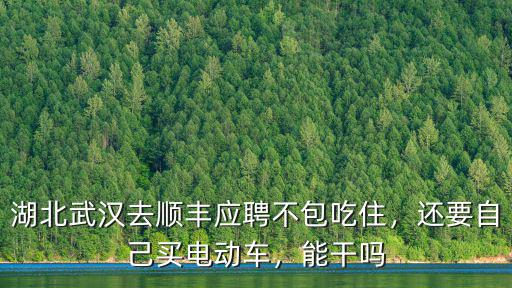 湖北武漢去順豐應聘不包吃住，還要自己買電動車，能干嗎