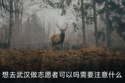 想去武漢做志愿者可以嗎需要注意什么