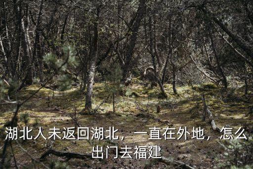 湖北人未返回湖北，一直在外地，怎么出門去福建