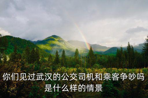 武漢公交司機素質怎么樣,現在在武漢當公交司機怎么樣