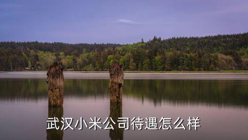 武漢博主待遇怎么樣,武漢小米公司待遇怎么樣