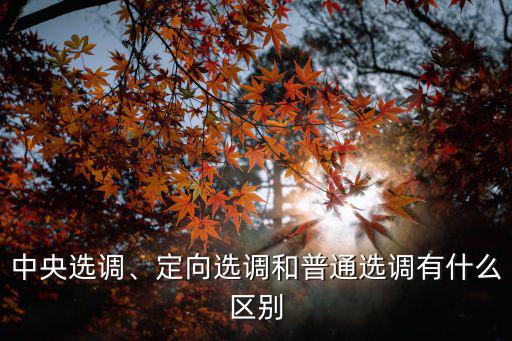 中央選調(diào)、定向選調(diào)和普通選調(diào)有什么區(qū)別