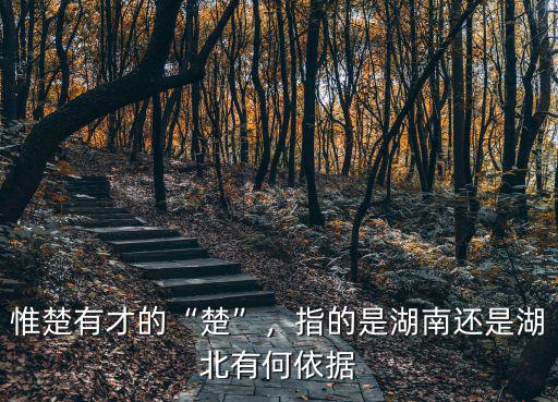 惟楚有才的“楚”，指的是湖南還是湖北有何依據