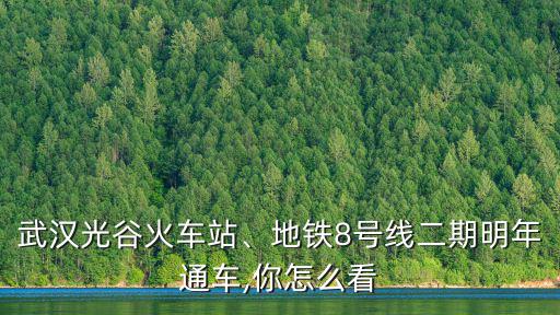 武漢光谷火車站地鐵怎么去,武漢光谷火車站