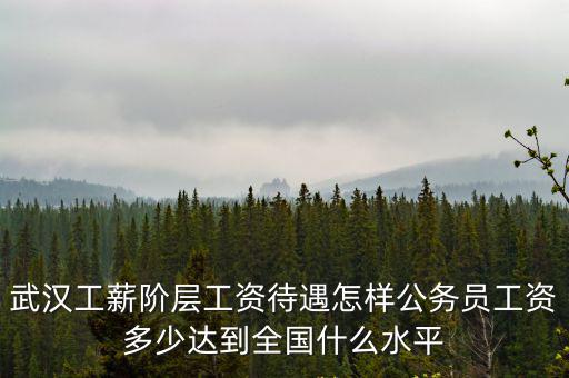武漢工薪階層工資待遇怎樣公務(wù)員工資多少達到全國什么水平