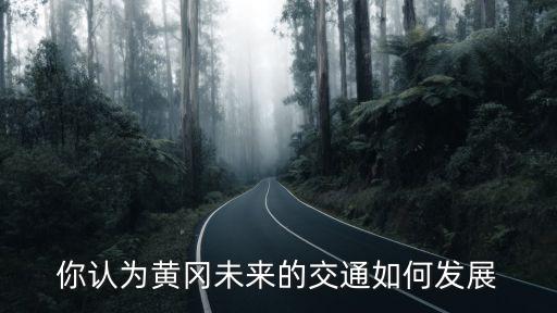你認為黃岡未來的交通如何發展