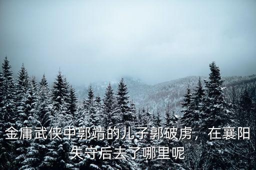 金庸武俠中郭靖的兒子郭破虜，在襄陽失守后去了哪里呢