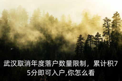 武漢怎么查詢落戶積分,無學歷在武漢該怎么落戶