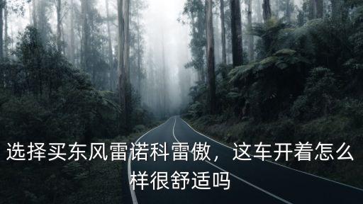 選擇買東風雷諾科雷傲，這車開著怎么樣很舒適嗎