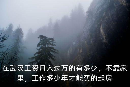 武漢月入過萬的工資怎么樣,在武漢工資月入過萬的有多少