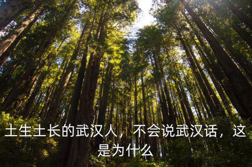 土生土長的武漢人，不會說武漢話，這是為什么