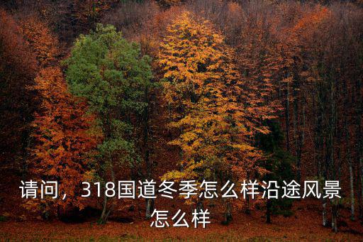 荊州到武漢318國道路況怎么樣,318國道冬季怎么樣