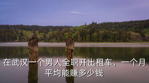 武漢開(kāi)私家車怎么賺錢嗎,開(kāi)私家車賺錢怎么樣